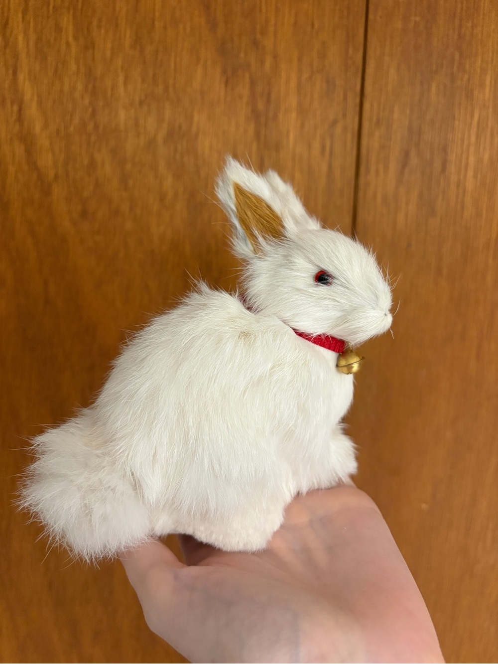 Realistic Rabbit Model Using Real Fur - Picture 2 of 7